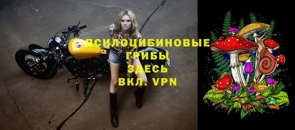 дурь Алексеевка