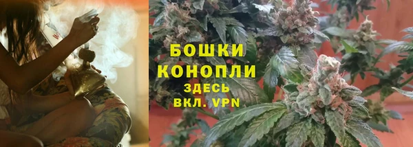 крисы Новокубанск