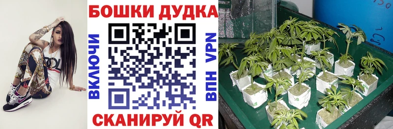 Марихуана LSD WEED  купить   Асбест 